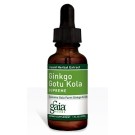 Gaia Herbs, Ginkgo Gotu Kola Supreme, 1 fl oz (30 ml)