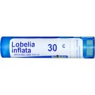Boiron, Single Remedies, Lobelia Inflata, 30C, Approx 80 Pellets