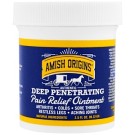 Amish Origins, Deep Penetrating, Pain Relief Ointment, 3.5 fl oz (99.22 g)