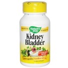 Nature's Way, Kidney Bladder, 465 mg, 100 Capsules