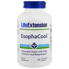 Life Extension, EsophaCool, 120 Chewable Tablets