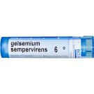 Boiron, Single Remedies, Gelsemium Sempervirens, 6C, Approx 80 Pellets