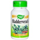 Nature's Way, Bladderwrack, 580 mg, 100 Veggie Caps