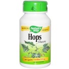Nature's Way, Hops Flowers, 310 mg, 100 Capsules