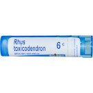 Boiron, Single Remedies, Rhus Toxicodendron, 6C, 80 Pellets