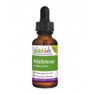 Gaia Herbs, Kids Defense Herbal Drops, Alcohol-Free Formula, 1 fl oz (30 ml)