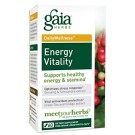 Gaia Herbs, Energy Vitality, 60 Vegetarian Liquid Phyto-Caps