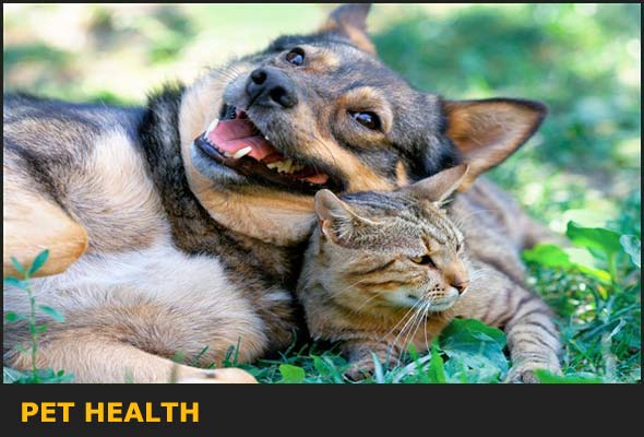 pet-health