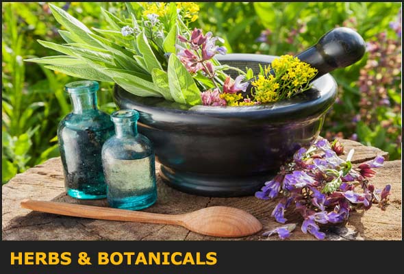 HERBS AND BOTANICALS